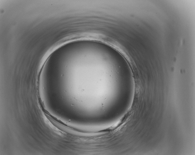 X0000080721532200612151146