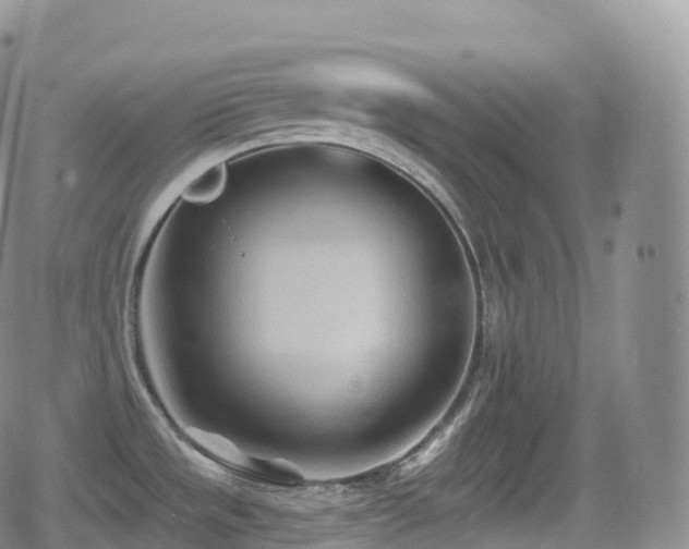 X0000080721533200612151146