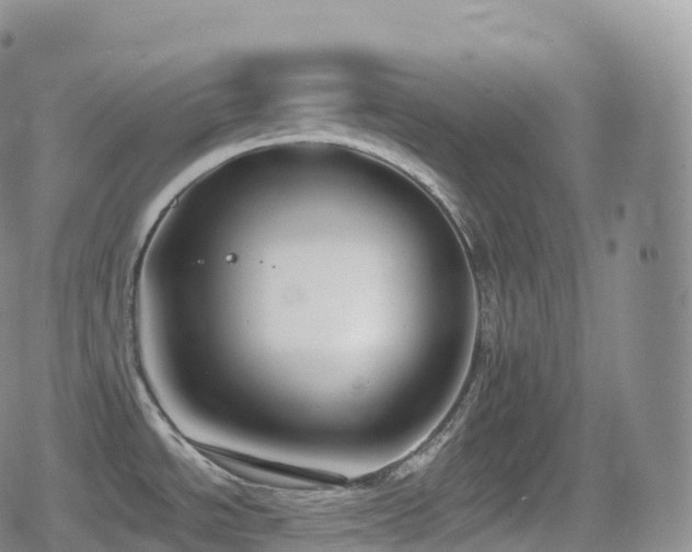 X0000080721534200612151146