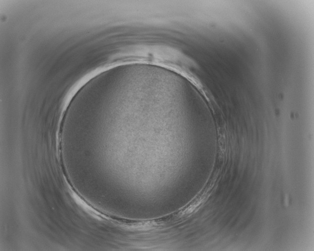 X0000080721535200612151146