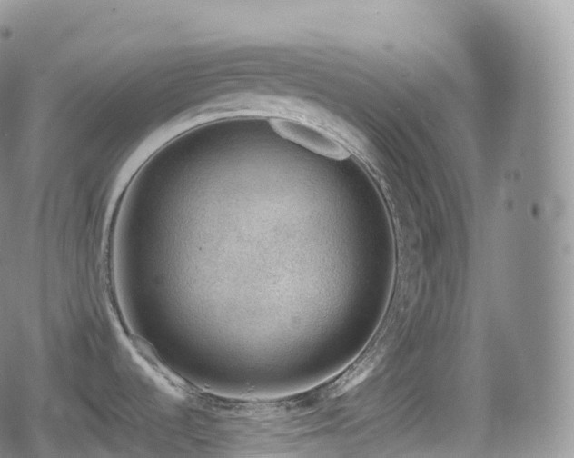 X0000080721536200612151146