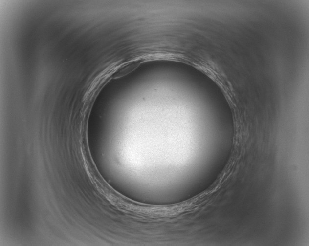 X0000080720001200612221239