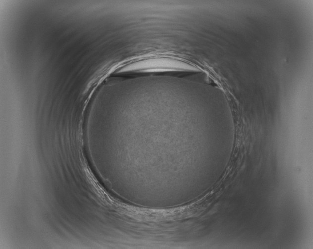 X0000080720002200612221239