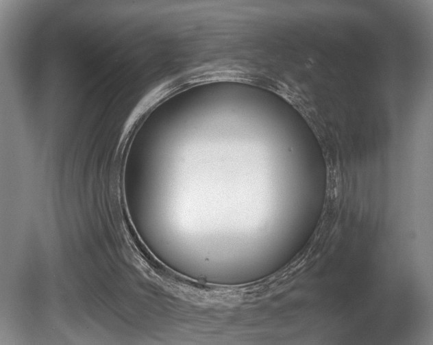 X0000080720004200612221239