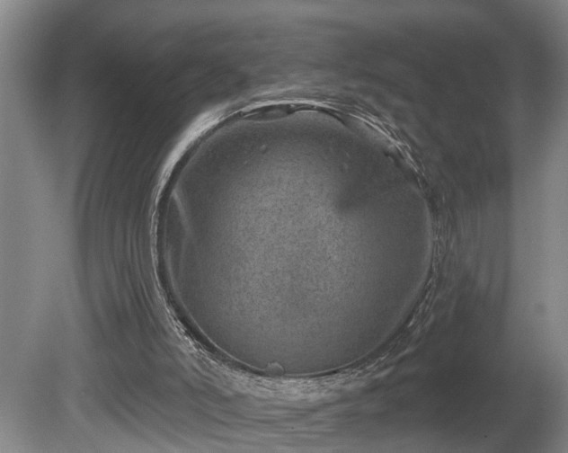 X0000080720006200612221239