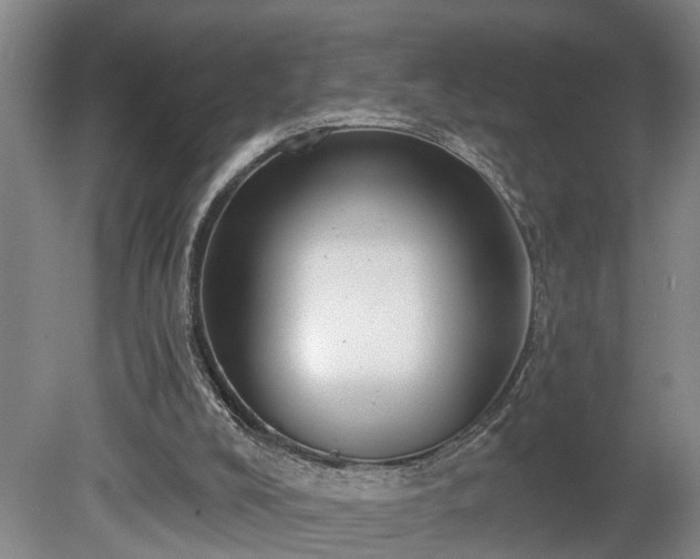 X0000080720008200612221239