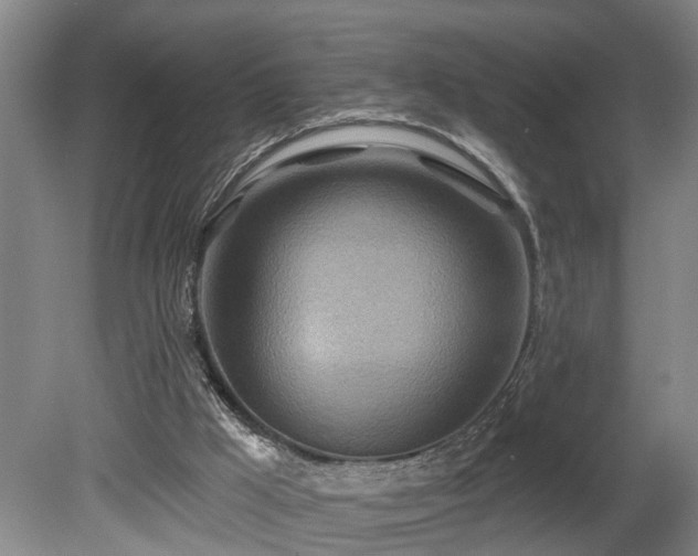 X0000080720009200612221239