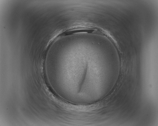 X0000080720010200612221239