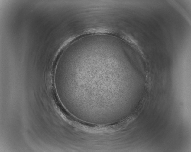 X0000080720012200612221239