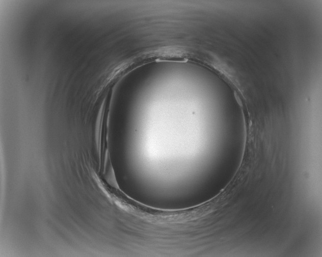 X0000080720013200612221239