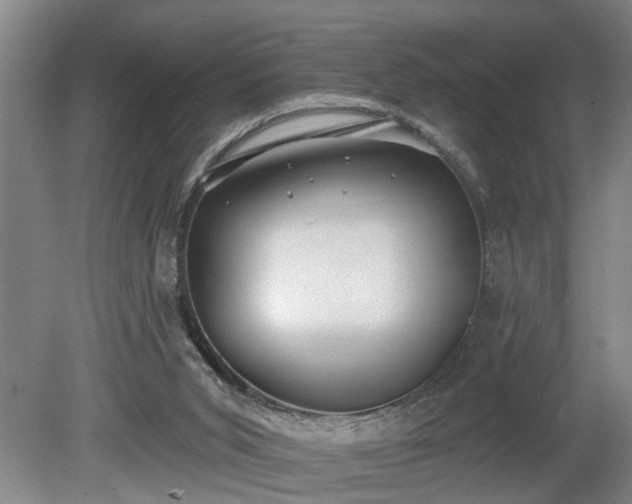 X0000080720015200612221239