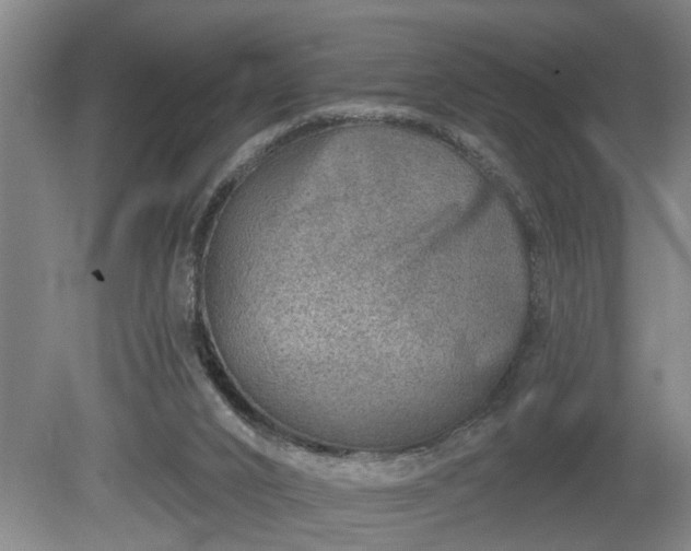 X0000080720016200612221239