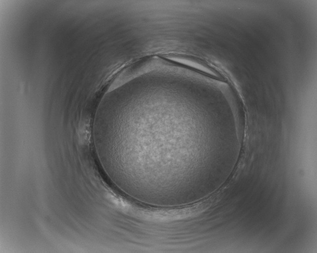 X0000080720017200612221239