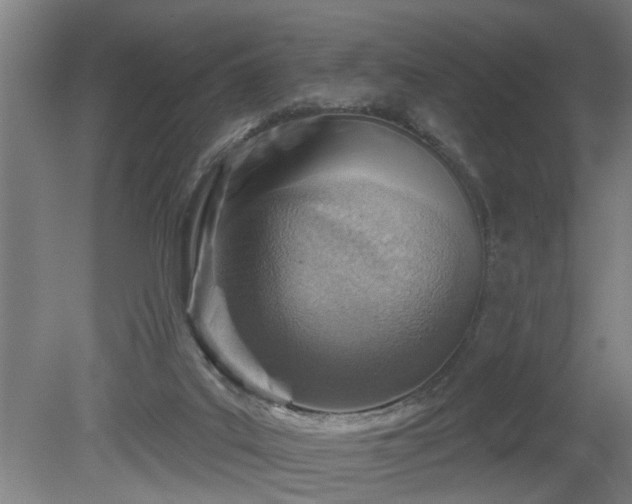 X0000080720019200612221239