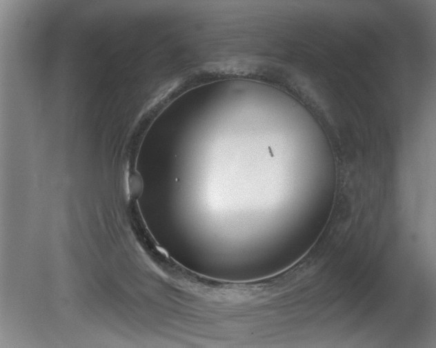 X0000080720020200612221239