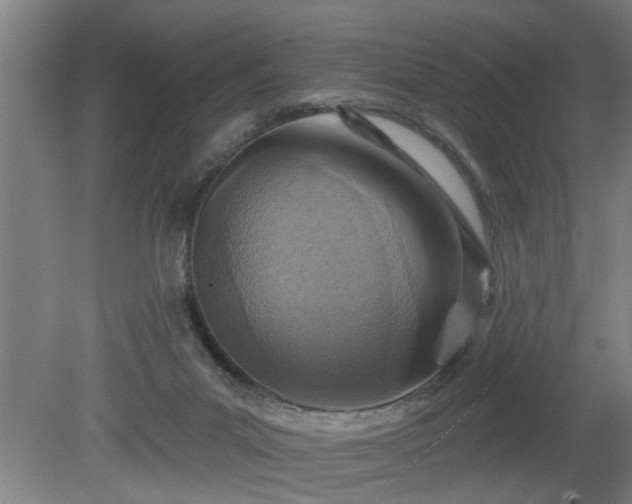 X0000080720023200612221239