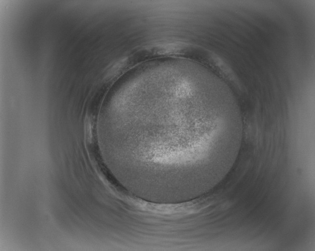 X0000080720026200612221239