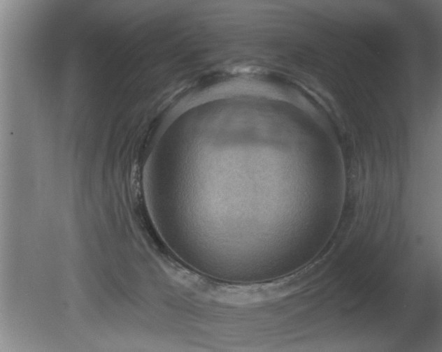 X0000080720029200612221238