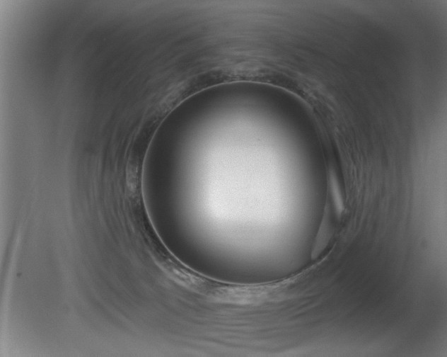 X0000080720033200612221238