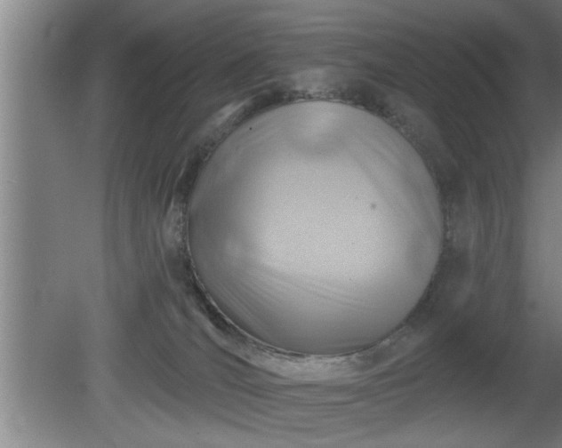 X0000080720036200612221238