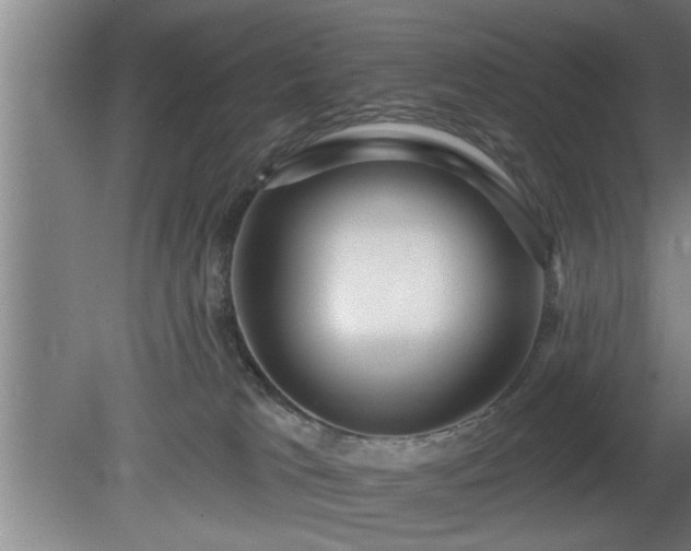 X0000080720037200612221238