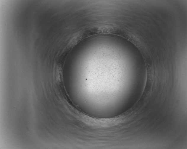 X0000080720038200612221238