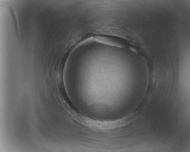 X0000080720039200612221238