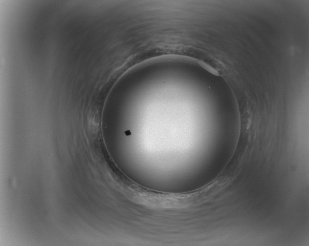 X0000080720040200612221238