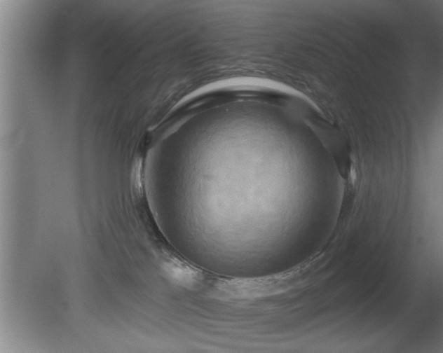 X0000080720041200612221238