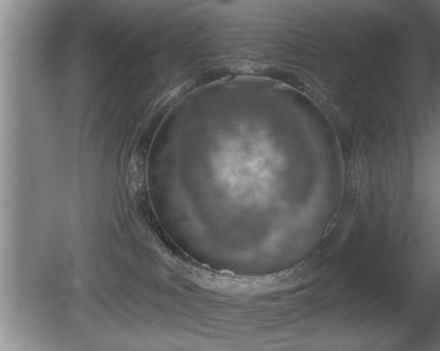 X0000080720043200612221238