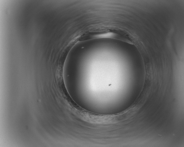 X0000080720044200612221238