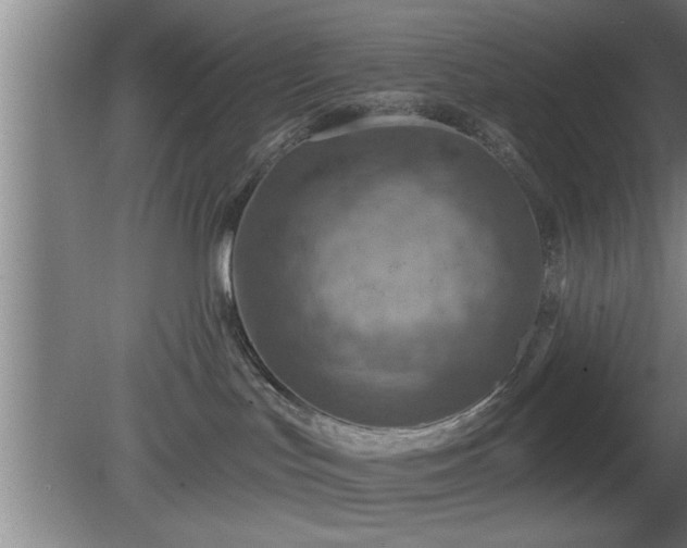 X0000080720047200612221238