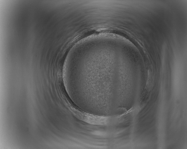 X0000080720048200612221238