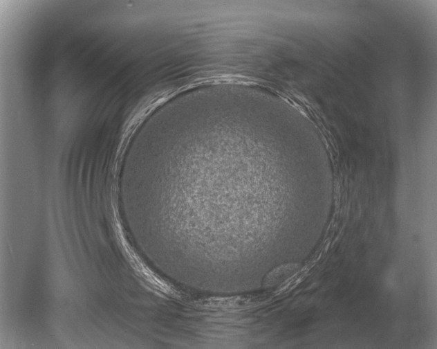 X0000080720049200612221237