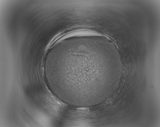 X0000080720053200612221237