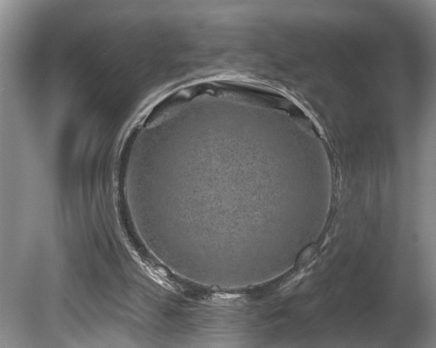 X0000080720055200612221237