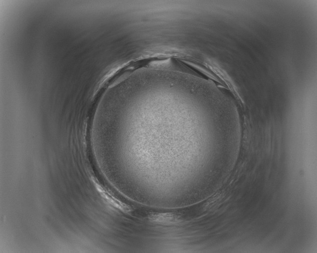 X0000080720058200612221238