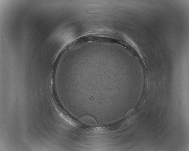 X0000080720059200612221238