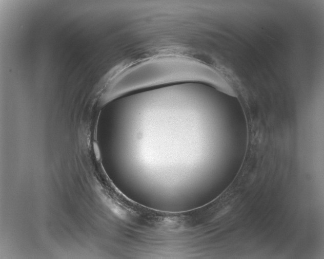 X0000080720060200612221238