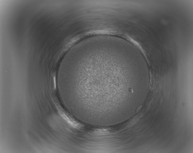 X0000080720061200612221238