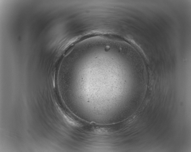 X0000080720062200612221238