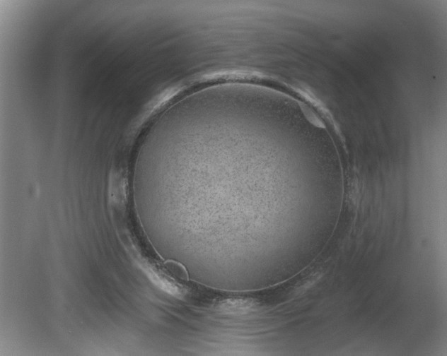 X0000080720063200612221238