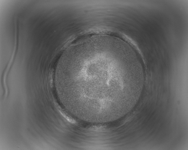 X0000080720065200612221238