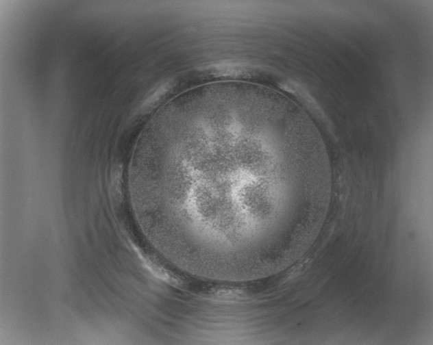 X0000080720066200612221238