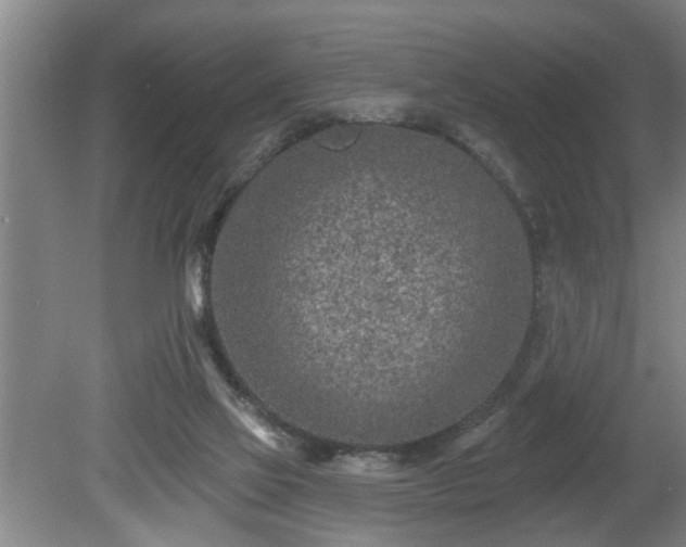 X0000080720069200612221238