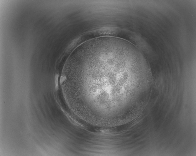 X0000080720070200612221238