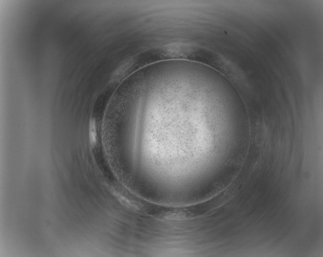 X0000080720075200612221238