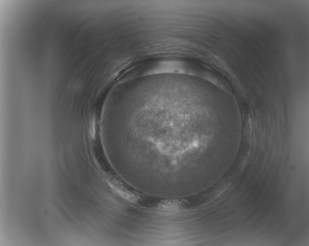 X0000080720076200612221238