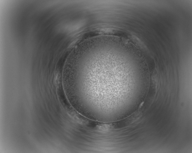 X0000080720079200612221238