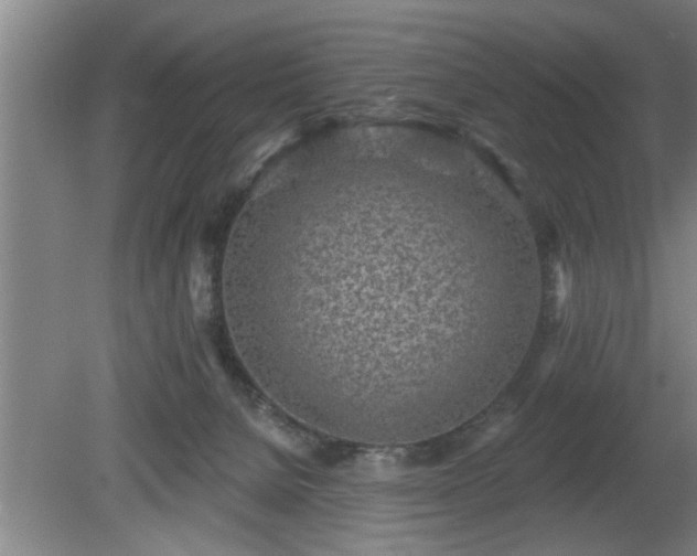 X0000080720080200612221238